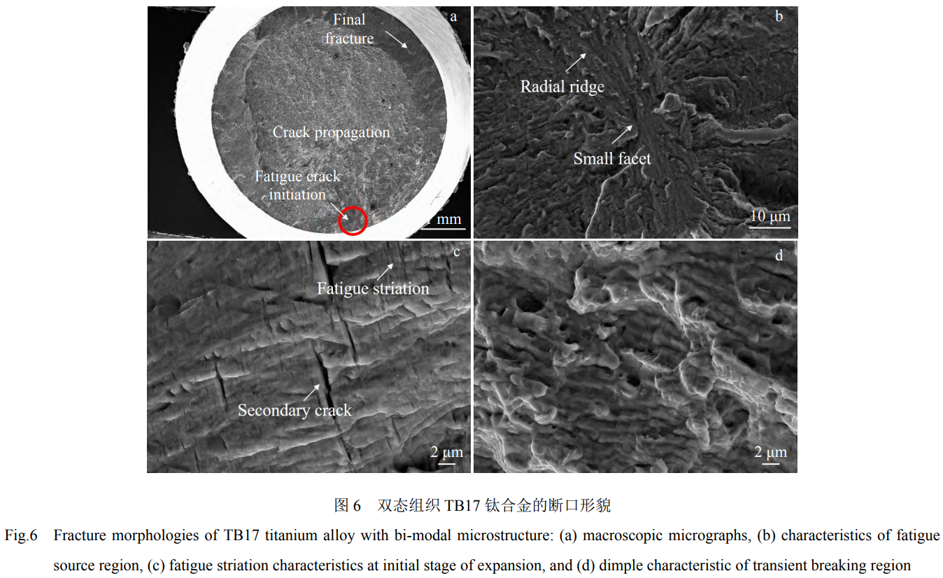 1760946510165135.png 截圖20251020154527.png