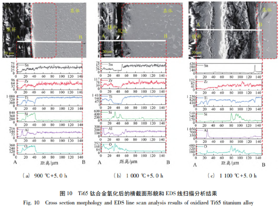 1762333738748247.jpg 未標題-1.jpg