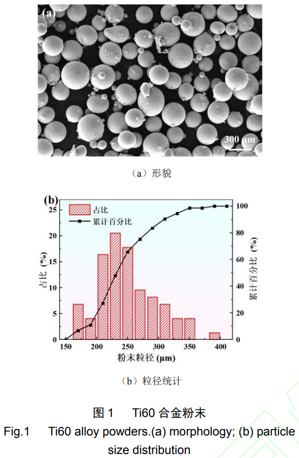 1764040920107731.jpg 1.jpg